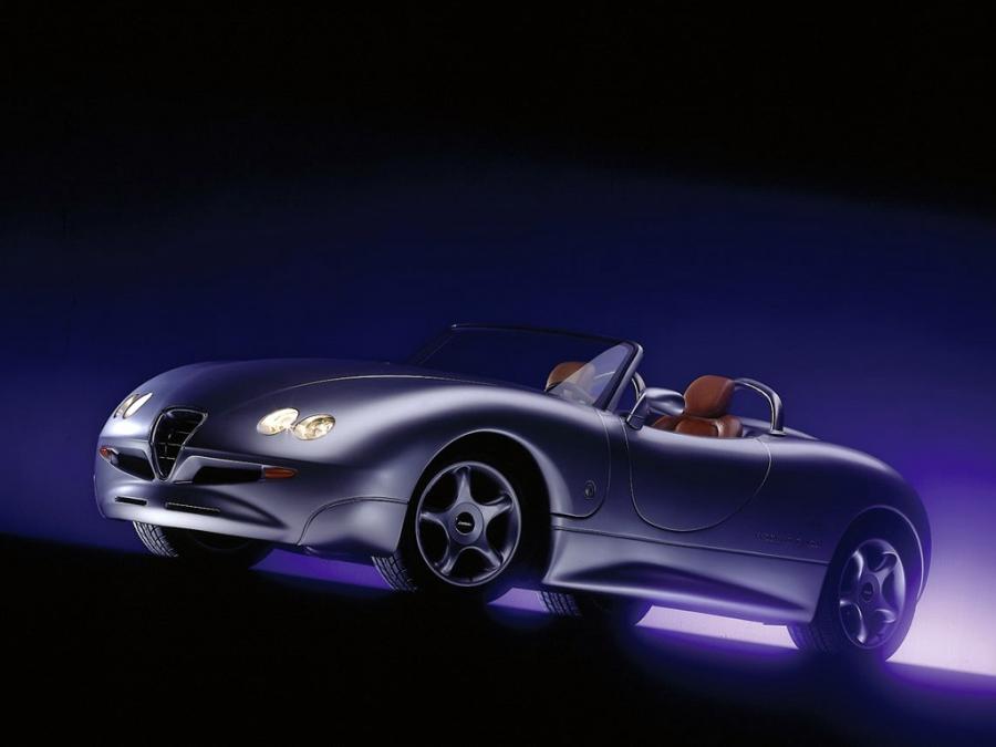  Alfa Romeo Zender Progetto Cinque 1995 года  (фото 8 из 14)